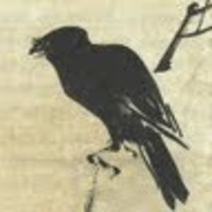 Meet your Posher, Rita